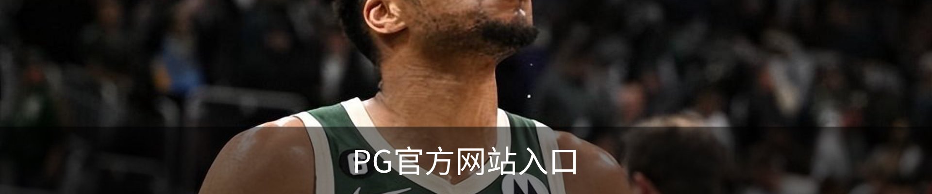 PG官方网站入口